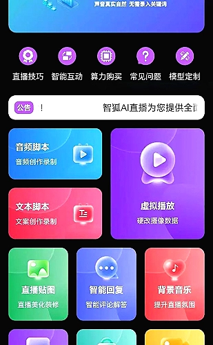 字幕版本指南